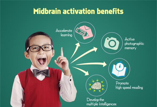 Brain Focus Illustration